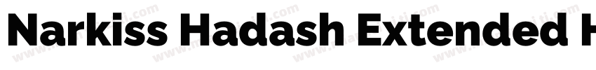 Narkiss Hadash Extended Heavy字体转换